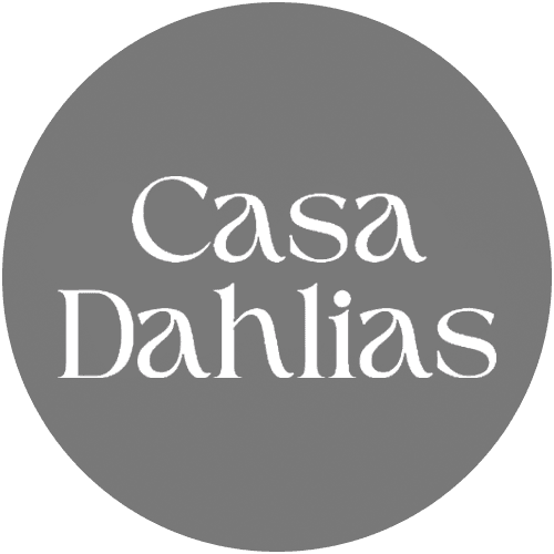 Casa Dahlias